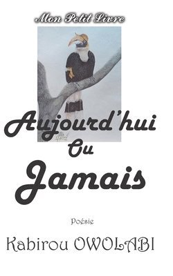 bokomslag Aujourd'hui ou Jamais