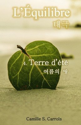 bokomslag Terre d'été
