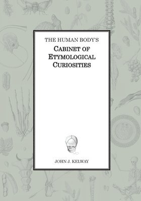 bokomslag Human Body's Cabinet of Etymological Curiosities