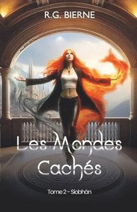 bokomslag Les Mondes Cachés