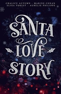 bokomslag Santa Love Story