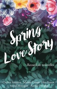 bokomslag Spring Love Story