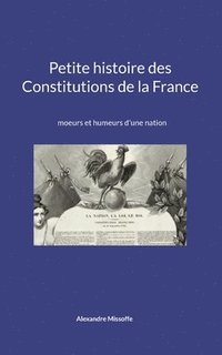 bokomslag Petite histoire des Constitutions de la France