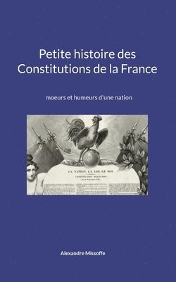 bokomslag Petite histoire des Constitutions de la France