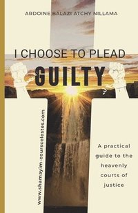 bokomslag I Choose to Plead Guilty