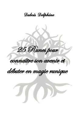 bokomslag 25 Runes pour connaitre son avenir et debuter en magie runique