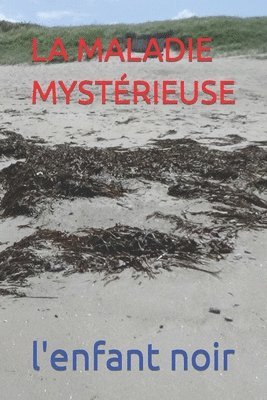 bokomslag La Maladie Mysterieuse