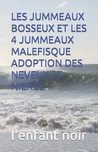 bokomslag Les Jummeaux Bosseux Et Les 4 Jummeaux Malefisque Adoption Des Neveux Et Nierce