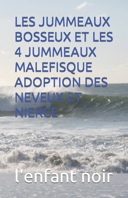 Les Jummeaux Bosseux Et Les 4 Jummeaux Malefisque Adoption Des Neveux Et Nierce 1