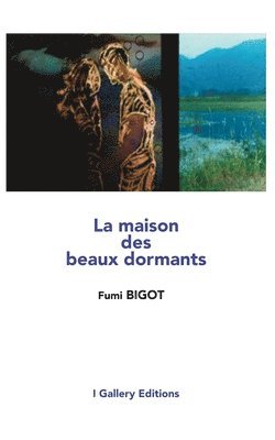 bokomslag maison des beaux dormants
