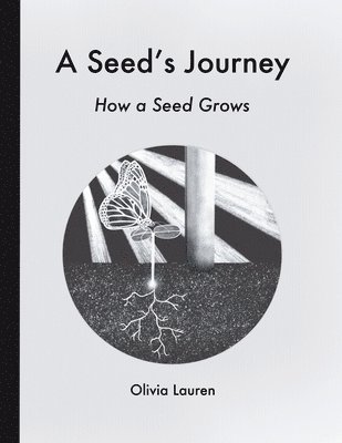 A Seed's Journey 1