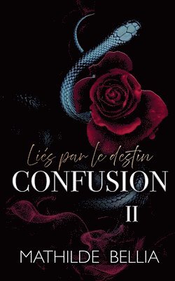 bokomslag Liés par le Destin