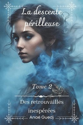 bokomslag La descente prilleuse - Tome 2