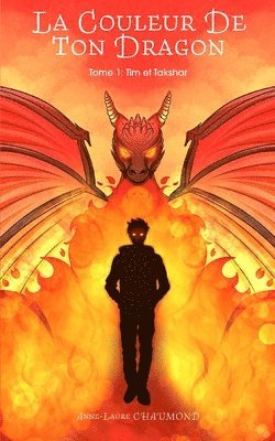 bokomslag Couleur De Ton Dragon
