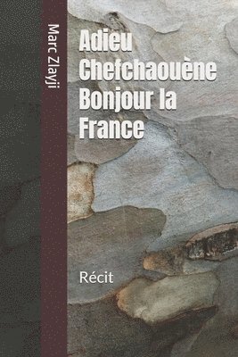 bokomslag Adieu Chefchaouène Bonjour la France