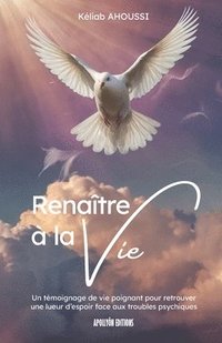 bokomslag Renaitre à la Vie - Résilience, foi et poésie face au trouble bipolaire: Un témoignage de vie poignant pour retrouver une lueur d'espoir face aux trou