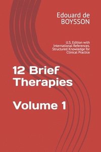 bokomslag 12 Brief Therapies