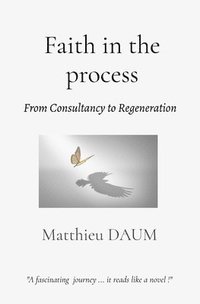 bokomslag Faith in the process: From consultancy to Regeneration