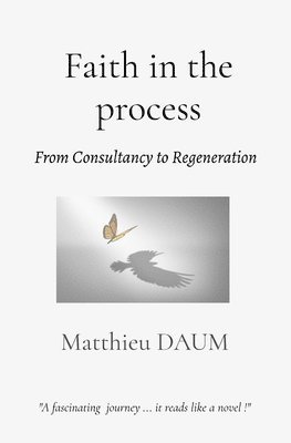 bokomslag Faith in the process: From consultancy to Regeneration