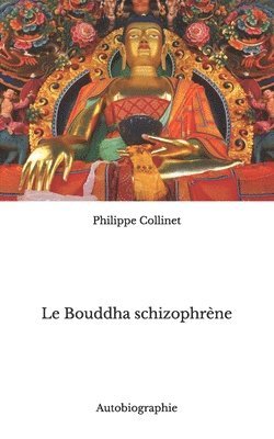 bokomslag Bouddha schizophrène