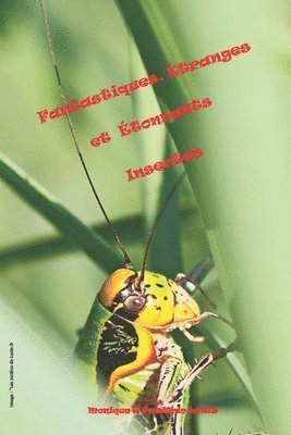 bokomslag Fantastiques, Étranges et Étonnants Insectes