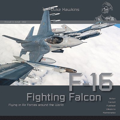 Lockheed-Martin F-16: Aircraft in Detail 1