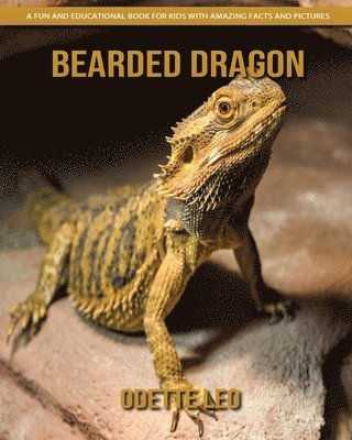 Bearded Dragon 1