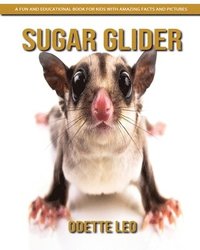 bokomslag Sugar Glider