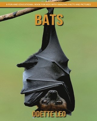 bokomslag Bats