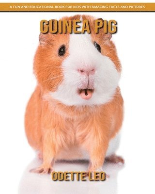 bokomslag Guinea Pig