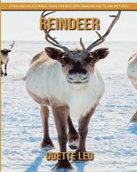 bokomslag Reindeer