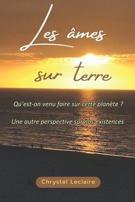 bokomslag Les âmes sur Terre