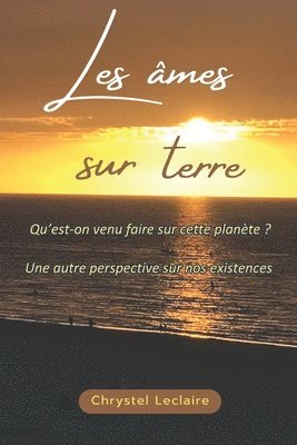 Les mes sur Terre 1