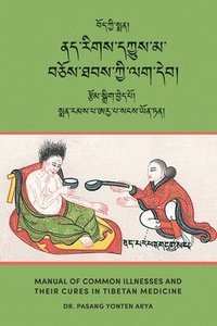bokomslag Manual of Common Illnesses and Their Cures in Tibetan Medicine (Nad rigs dkyus ma bcos thabs kyi lag deb)
