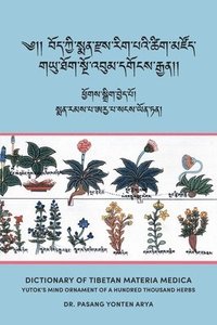 bokomslag Dictionary of Tibetan Materia Medica (Bod kyi sman rdzas rig pa'i tshig mdzod)