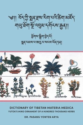 Dictionary of Tibetan Materia Medica (Bod kyi sman rdzas rig pa'i tshig mdzod) 1