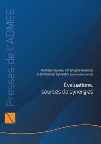 bokomslag Évaluations, sources de synergies