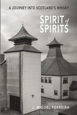 bokomslag Spirit of Spirits