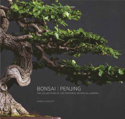 Bonsai | Penjing 1