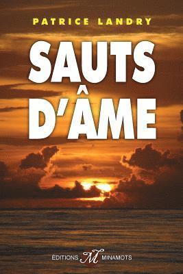 Patrice Landry - Sauts d'âme, Häftad