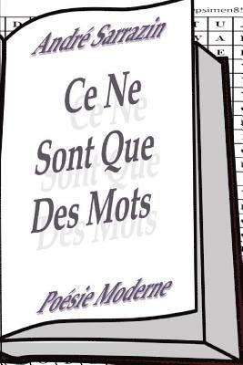 bokomslag Ce ne sont que des mots