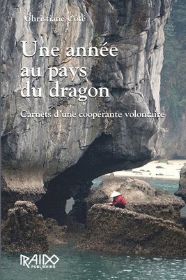 bokomslag Une année au pays du dragon: Carnets d'une coopérante volontaire