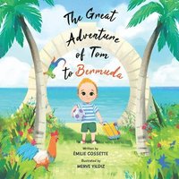 bokomslag The Great Adventure of Tom to Bermuda