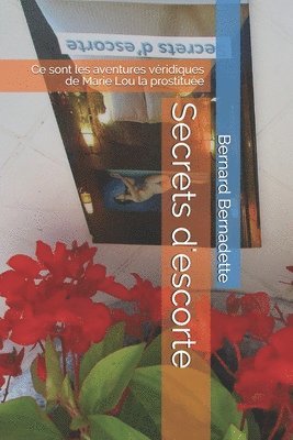 bokomslag Secrets d'escorte: Ce sont les aventures véridiques de Marie Lou la prostituée