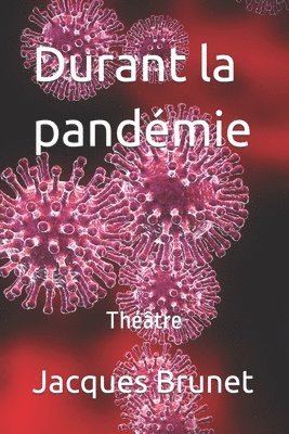 bokomslag Durant la pandémie