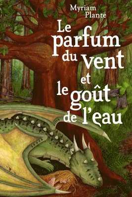 bokomslag parfum du vent et le goût de l'eau