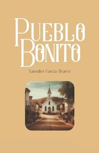 bokomslag Pueblo Bonito