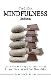 bokomslag The 21 Day Mindfulness Challenge