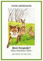 bokomslag Drei Freunde? Hase, Kaninchen, Fuchs