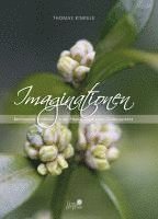 Thomas Kinkele - Imaginationen, Inbunden